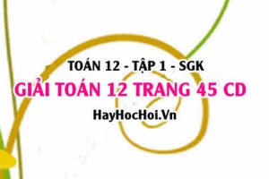 Giải Toán 12 trang 46 tập 1 Cánh Diều